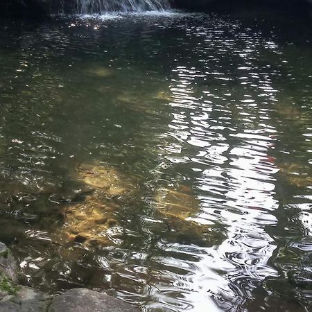 Carvalho De Muriqui Mangaratiba Buitenkant foto